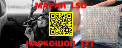 винт Славгород