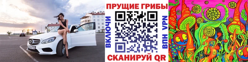 Псилоцибиновые грибы мицелий  где можно купить   MEGA ONION  Корсаков 