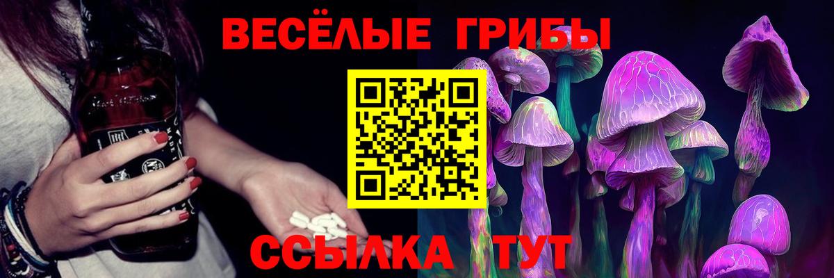 Галлюциногенные грибы прущие грибы  Вход с VPN  Корсаков 