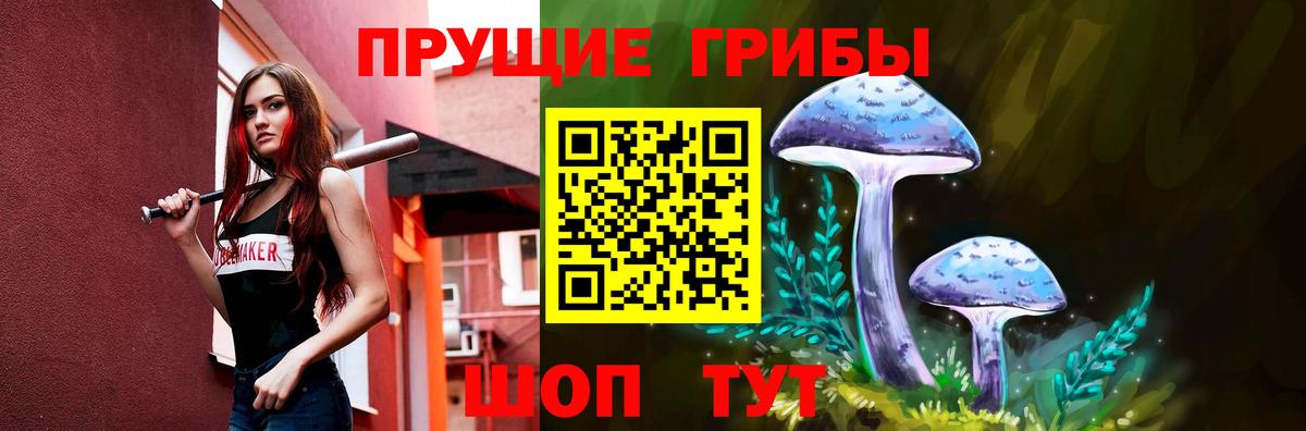 Галлюциногенные грибы Psilocybe Корсаков