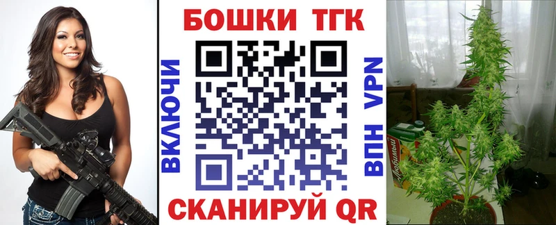Бошки марихуана сатива Корсаков